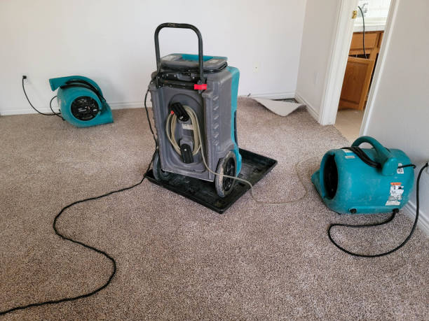 Best Carpet water damage restoration  in Reading, OH