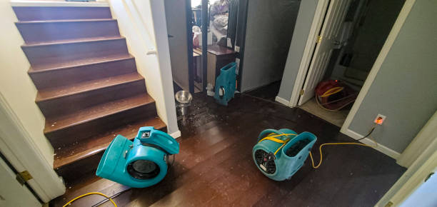 Best Flooded house restoration  in Reading, OH