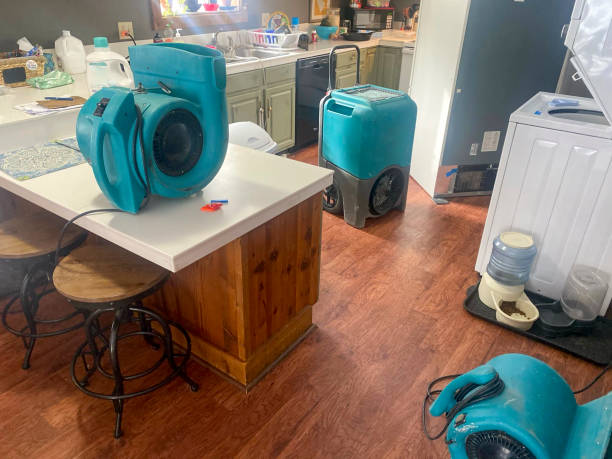 Best Sewage cleanup and water damage restoration  in Reading, OH