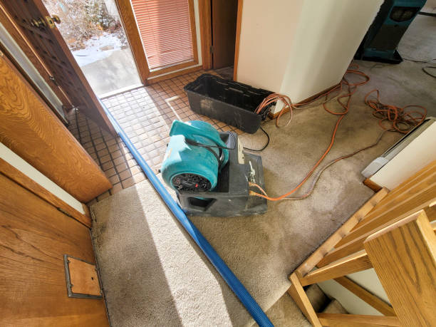 Best Flood restoration services  in Reading, OH