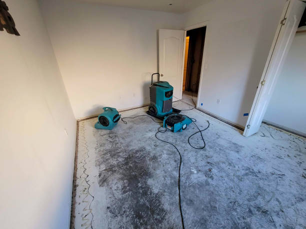 Best Water damage contractors near me  in Reading, OH