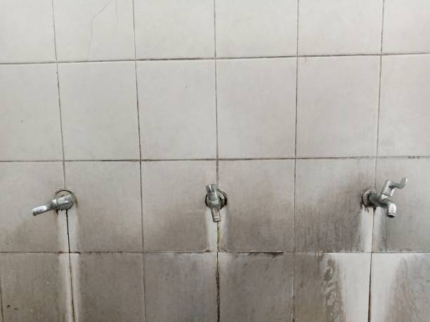 Best Water damage restoration mold remediation  in Reading, OH