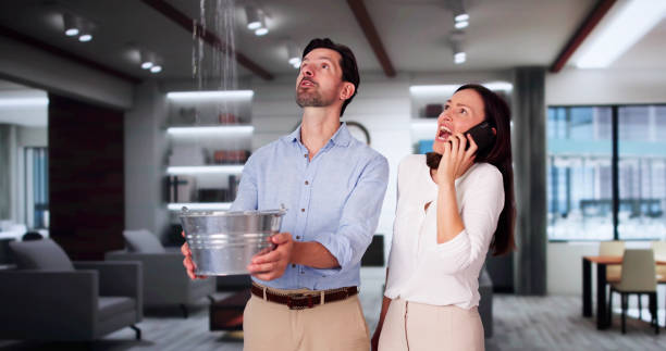 Best Basement water damage restoration  in Reading, OH
